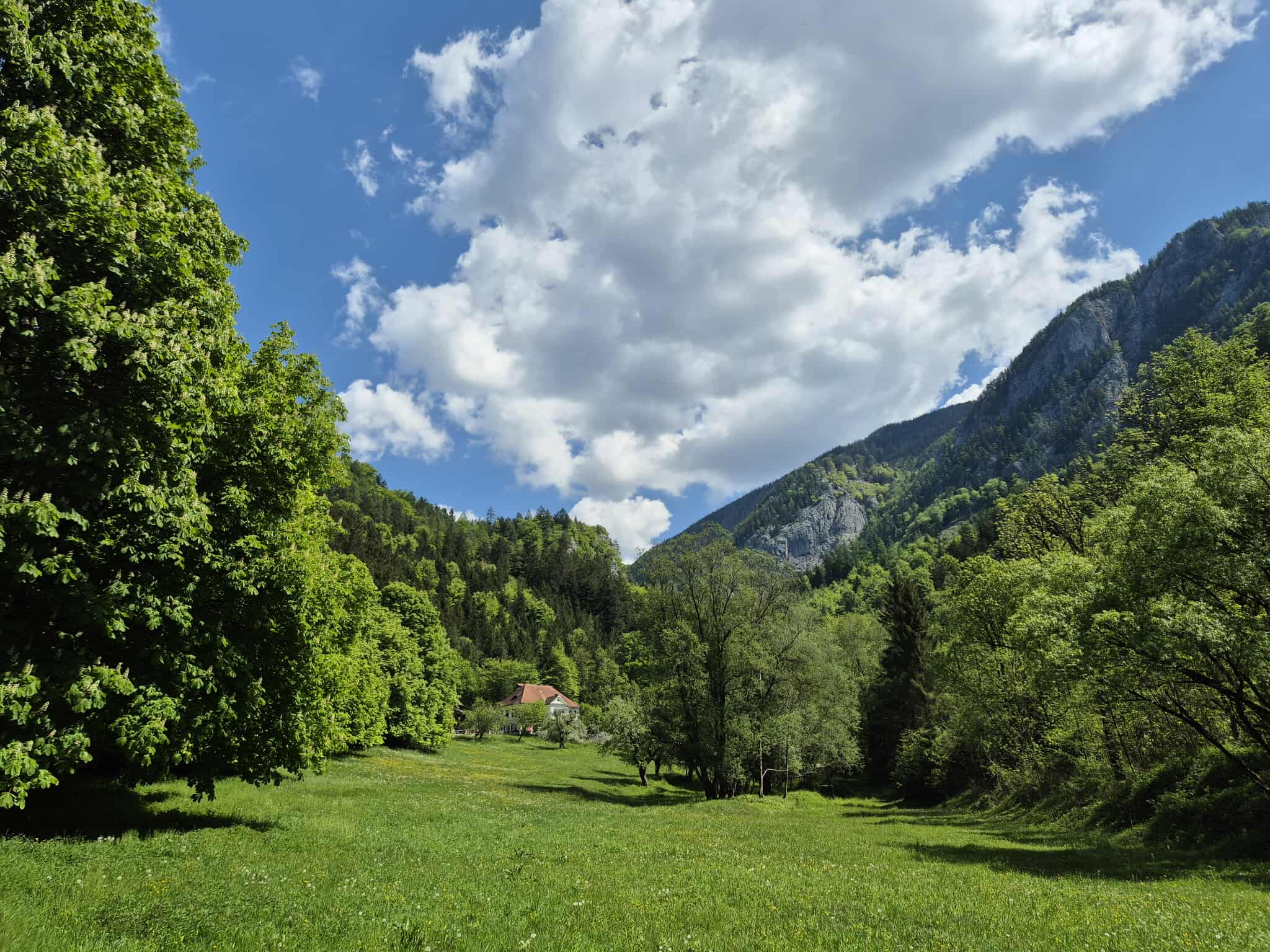 Description of the image